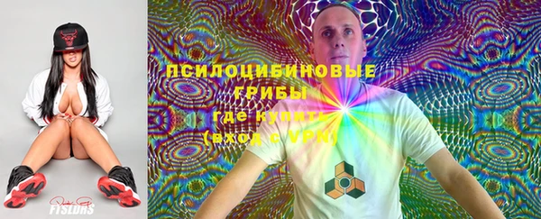 марки lsd Рославль