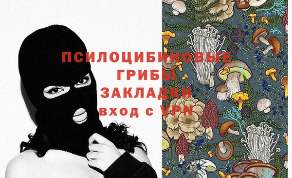 кокс Дмитровск