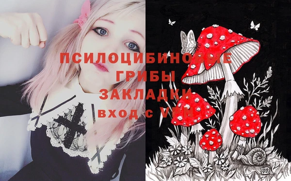 кокс Дмитровск