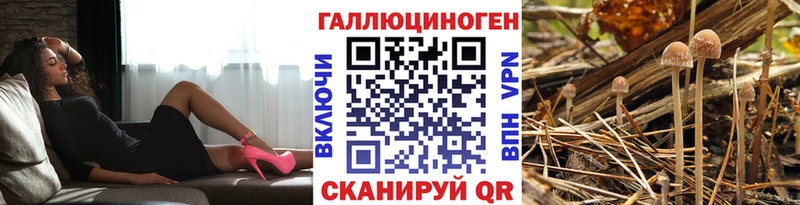 Псилоцибиновые грибы мицелий  Западная Двина 